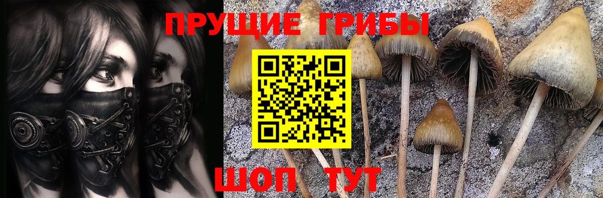 Псилоцибиновые грибы Psilocybe  Вход с VPN  Надым 